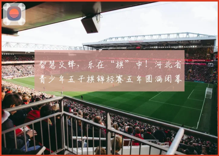 智慧交锋，乐在“棋”中！河北省青少年五子棋锦标赛五年圆满闭幕