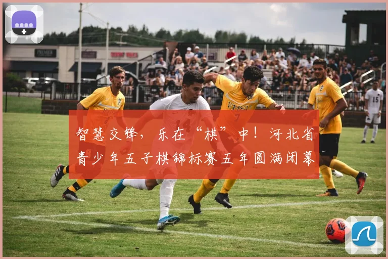 智慧交锋，乐在“棋”中！河北省青少年五子棋锦标赛五年圆满闭幕