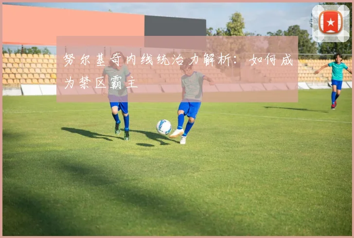 努尔基奇内线统治力解析：如何成为禁区霸主