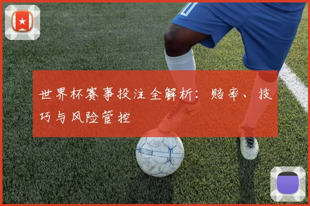 世界杯赛事投注全解析：赔率、技巧与风险管控