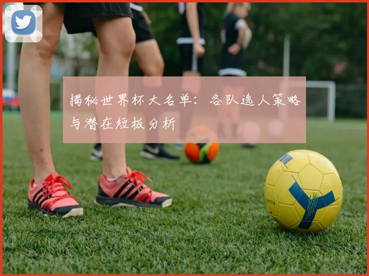 揭秘世界杯大名单：各队选人策略与潜在短板分析