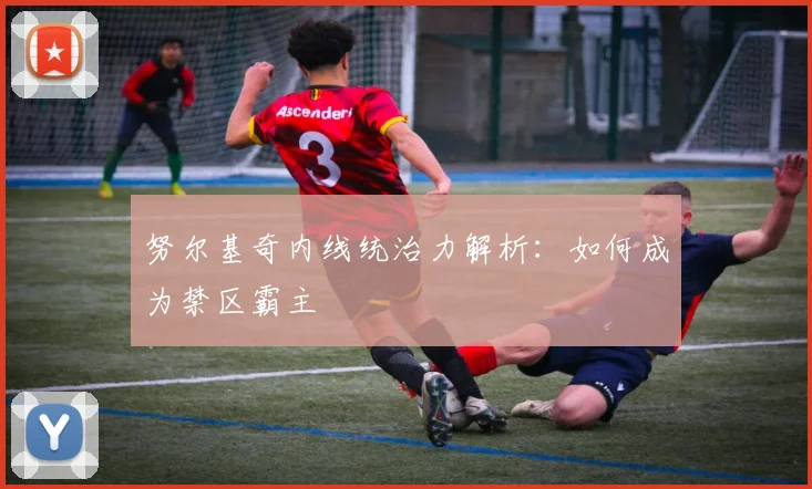 努尔基奇内线统治力解析：如何成为禁区霸主